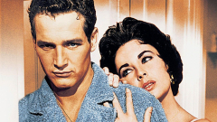 Cat on a Hot Tin Roof 1958 movie