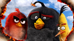 The Angry Birds Movie 2016