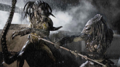 Alien vs. Predator (Aliens vs. Predator: Requiem) (Predator)