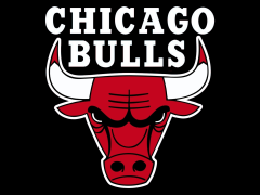 Chicago Bulls (Bull) (Spanish Fighting Bull)