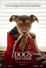 A Dog S Way Movie Charles Martin Smith Film