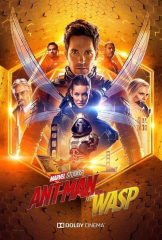 Ant Man And The Wasp Movie Marvel Comics Dolby Film
