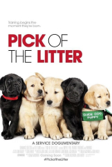 Pick Of The Litter Movie Guide Dogs Film
