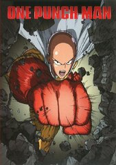 One Punch Man Japanese Anime TV Manga