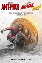 Ant Man And The Wasp Movie Marvel Comics Film 9