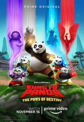 Kung Fu Panda The Paws of Destiny Movie Animated Film