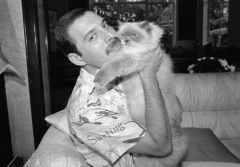 Freddie Mercury Queen Cat Lover Singer Art