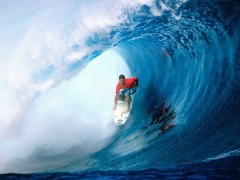 GIANT WAVE - Sea Surfing