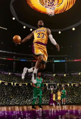 Lebron James - LBJ La Lakers NBA MVP Basketball