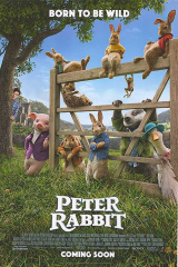 Peter Rabbit Intl A Movie
