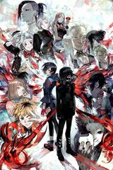 Tokyo Ghoul - Zombie Vampire Fight Japan Anime