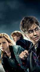 Harry Potter and the Deathly Hallows: Part 1 2010 movie