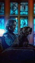 John Wick: Chapter 3 – Parabellum 2019 movie