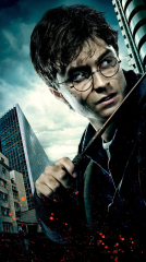 Harry Potter and the Deathly Hallows: Part 1 2010 movie