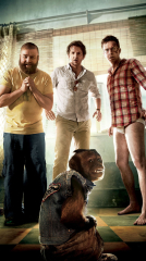 The Hangover Part II 2011 movie
