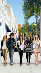 The Bling Ring 2013 movie