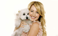Ashley Tisdale With Dog Pics