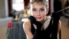 Black Givenchy dress of Audrey Hepburn (Dress)