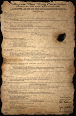Beer Pong Constitution
