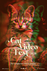 CatVideoFest 2020 (2020) Movie