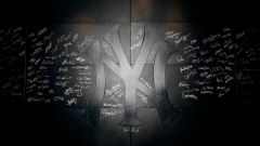 New York Yankees (Yankees Signature)