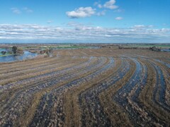 As floods endanger the San Joaquin Valley, California Gov. Newsom ...