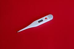 Digital Thermometer