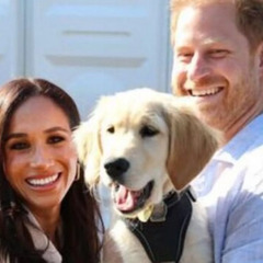 Prince Harry and Meghan Markle's neighbours give verdict on royal ...