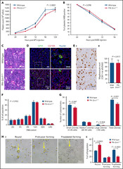 Deletion of Grin1 in mouse megakaryocytes reveals NMDA receptor ...