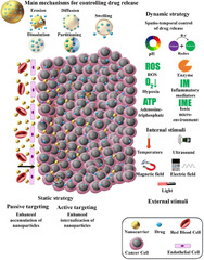 Controlled anti-cancer drug release through advanced nano-drug ...