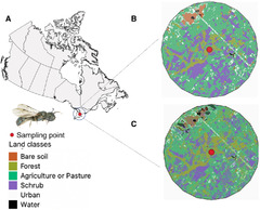 Historic DNA uncovers genetic effects of climate change and ...