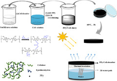 Polypyrrole-doped cellulose hydrogel evaporator for steam ...