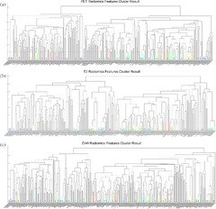 Extracting and Selecting Robust Radiomic Features from PET/MR ...