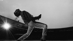 Freddie Mercury: the Great Pretender: A Life in (Freddie Mercury Desktop Background)