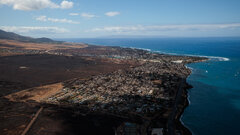 How Invasive Plants Caused the Maui Fires to Rage - The New York Times