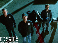 Prime Video: CSI: Crime Scene Investigation, Season 15CSI: Crime ...