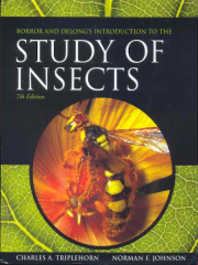 Borror Delong 2005 Study of Insects | PDF | Wasp | Insects