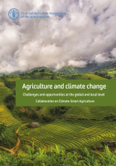 Agriculture and Climate Change: Challenges and Opportunities at ...