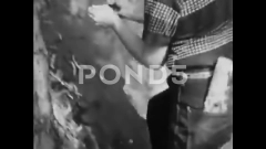 1955 - Boys start vandalizing trees and ... | Stock Video | Pond5