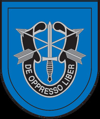 3.8 19th Special Forces Group Airborne Flash Decal (19th Special Forces Group)