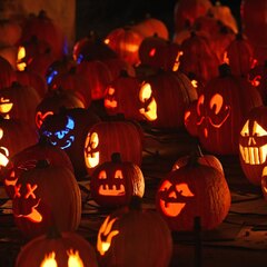 Why Do We Celebrate Halloween? 6 Facts About This Spooky Holiday's ...