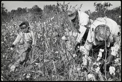 Our American Story - Juneteenth | National Museum of African ...