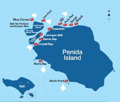 Diving Nusa Penida, Bali - Underwater Photography Guide