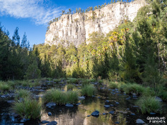 An in-depth guide to hiking Carnarvon Gorge