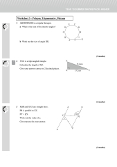 SOLUTION: Polygons angles trigonometry - Studypool