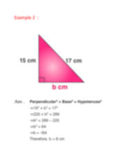 SOLUTION: Pythagoras theorem - Studypool