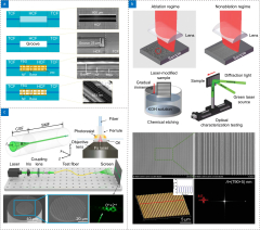 Femtosecond laser micromachining optical devices