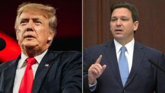 Ron DeSantis: Trump takes thinly veiled shot at 'gutless' Florida ...