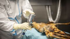 Ötzi the Iceman's true appearance revealed by new DNA analysis | CNN