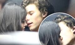 Shawn Mendes (Camila Cabello)